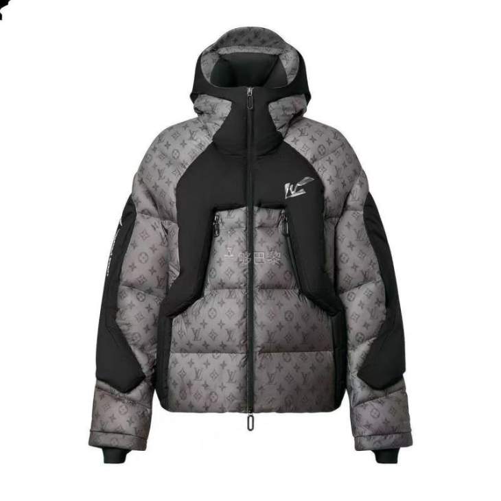 Picture of Louis Vuitton Down Jackets _SKULVsz46-548qx4337617